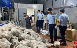 Triển khai đợt cao điểm đẩy lùi hàng giả, hàng kém chất lượng