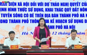 Khai thác quỹ đất nông nghiệp tại các bãi sông an toàn, hiệu quả