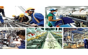 Triển khai Kế hoạch hành động phát triển kinh tế tư nhân