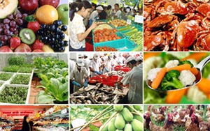 Tăng cường công tác phòng chống dịch bệnh, an toàn thực phẩm