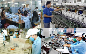 Triển khai đồng bộ cơ chế, chính sách đặc biệt nhằm thúc đẩy phát triển kinh tế tư nhân