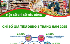 Những con số 'biết nói': Tổng mức bán lẻ hàng hóa 8 tháng năm 2025 ước tăng 12,6%