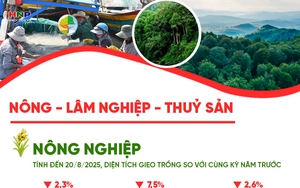 Những con số 'biết nói': Sản xuất nông, lâm nghiệp và thủy sản 8 tháng năm 2025