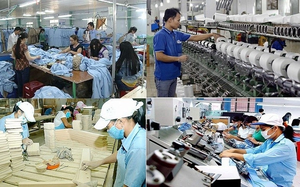 Triển khai các chính sách hỗ trợ quy định về một số cơ chế, chính sách đặc biệt phát triển kinh tế tư nhân