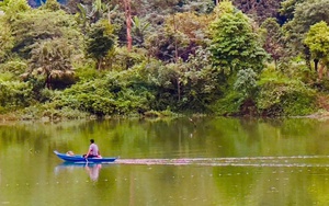 Tổ chức lại hoạt động của Quỹ Bảo vệ và Phát triển rừng