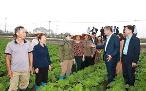 Tập trung phát triển nông nghiệp giá trị cao