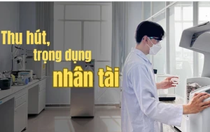 Triển khai thực hiện quy định về cơ chế, chính sách thu hút, trọng dụng người có tài năng