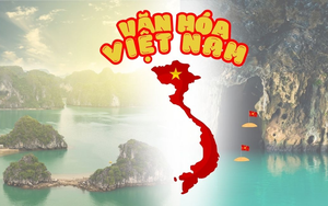 Triển khai thực hiện Nghị quyết của Bộ Chính trị về phát triển văn hóa Việt Nam