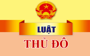 Tổ chức thi hành Luật Thủ đô