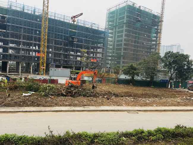 Phường Lĩnh Nam vệ sinh môi trường các khu vực đất công và điểm tồn rác- Ảnh 1.