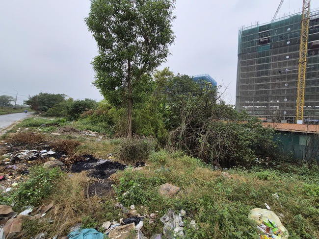 Phường Lĩnh Nam vệ sinh môi trường các khu vực đất công và điểm tồn rác- Ảnh 2.