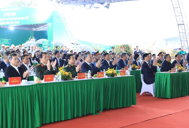 Hanoi launches tree planting festival- Ảnh 2.