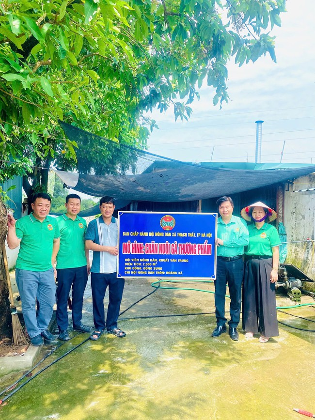 NÔNG DÂN THẠCH THẤT ĐẨY MẠNH ỨNG DỤNG KHOA HỌC CÔNG NGHỆ TRONG SẢN XUẤT, NÂNG CAO NĂNG SUẤT CÂY TRỒNG, VẬT NUÔI- Ảnh 1.