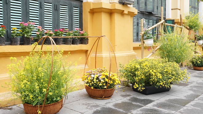 Ngắm hoa cải vàng khoe sắc cùng trợ lý ảo (AI) ngay giữa lòng Hà Nội- Ảnh 28.