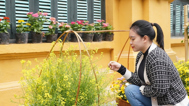 Ngắm hoa cải vàng khoe sắc cùng trợ lý ảo (AI) ngay giữa lòng Hà Nội- Ảnh 8.