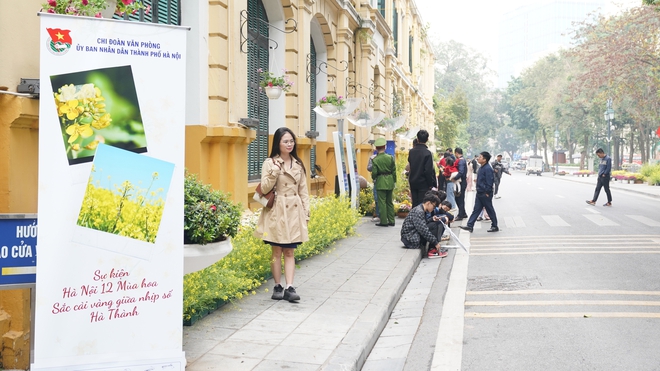 Ngắm hoa cải vàng khoe sắc cùng trợ lý ảo (AI) ngay giữa lòng Hà Nội- Ảnh 7.