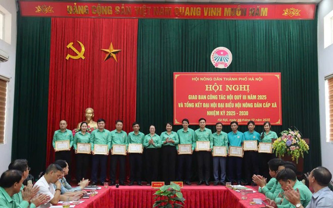 Đại hội đại biểu Hội Nông dân các xã, phường thành phố Hà Nội thành công tốt đẹp- Ảnh 6.