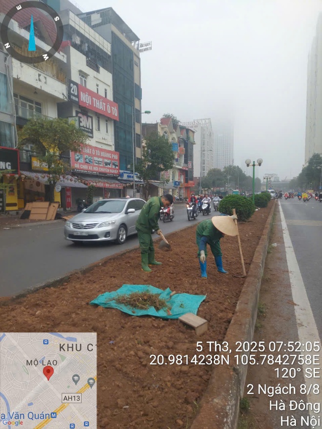 Hà Nội: Khắc phục tình trạng trồng cây xanh không đảm bảo yêu cầu- Ảnh 2.