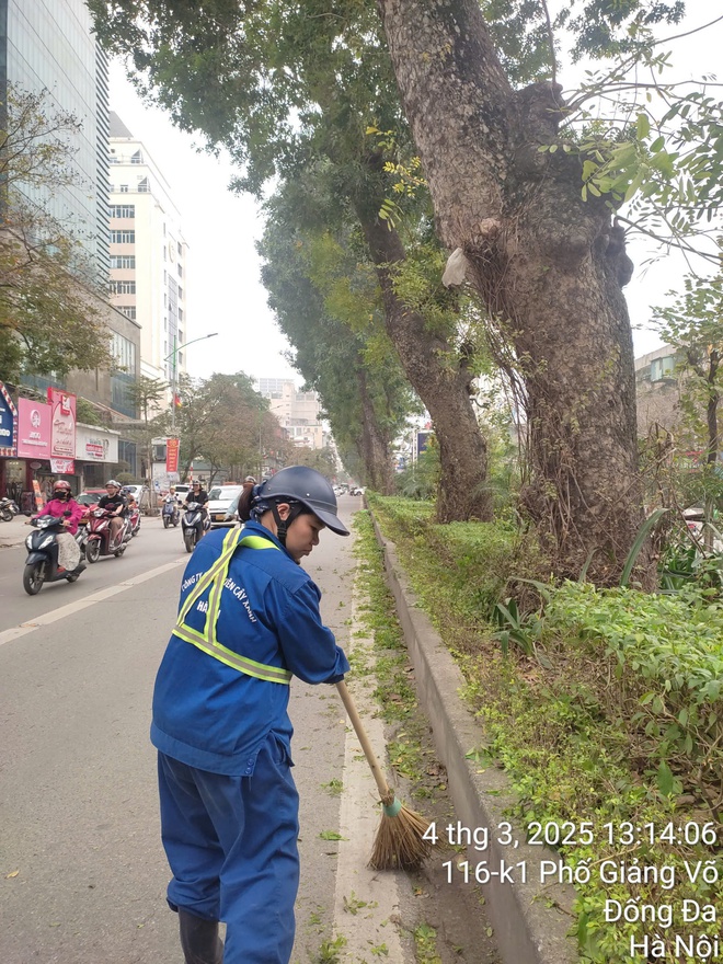 Hà Nội: Khắc phục tình trạng trồng cây xanh không đảm bảo yêu cầu- Ảnh 3.