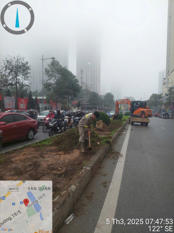 Hà Nội: Khắc phục tình trạng trồng cây xanh không đảm bảo yêu cầu- Ảnh 1.