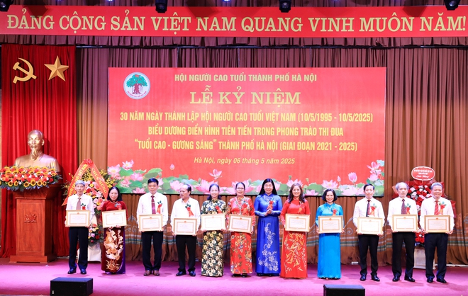 Hội Người cao tuổi Thành phố: Chủ động, sáng tạo, triển khai thực hiện có hiệu quả các phong trào thi đua yêu nước- Ảnh 7.