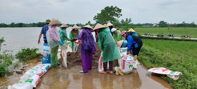 Xã Phú Nghĩa: Huy động lực lượng ứng cứu, bảo vệ an toàn đê- Ảnh 5.