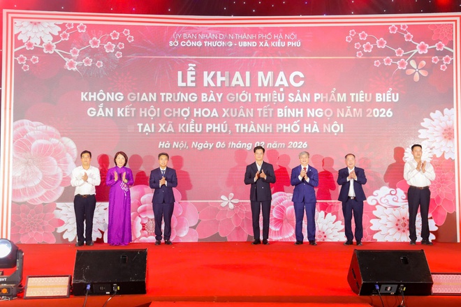 Khai mạc không gian trưng bày sản phẩm thương mại tiêu biểu, gắn với Hội chợ hoa Xuân Bính Ngọ xã Kiều Phú- Ảnh 6.