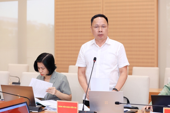 Sơn Tây, Tùng Thiện chủ động cụ thể hóa nghị quyết, hướng tới tăng trưởng bền vững- Ảnh 7.