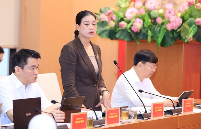 Sơn Tây, Tùng Thiện chủ động cụ thể hóa nghị quyết, hướng tới tăng trưởng bền vững- Ảnh 6.