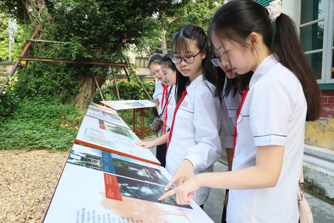 Khai trương Triển lãm “Cây Hà Nội - Những bức ảnh về một di sản sống” - 6