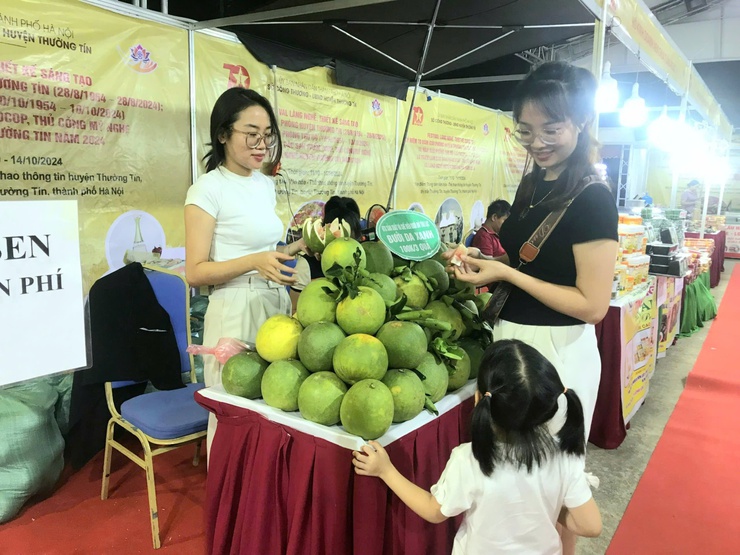 Khai mạc Festival và triển lãm các sản phẩm làng nghề huyện Thường Tín- Ảnh 3.