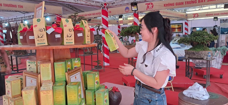 Khai mạc Festival và triển lãm các sản phẩm làng nghề huyện Thường Tín- Ảnh 5.