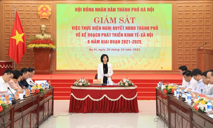 Giám sát việc thực hiện chỉ tiêu phát triển kinh tế - xã hội 5 năm tại huyện Ba Vì- Ảnh 1.