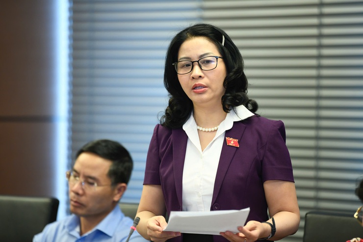 Đoàn đại biểu Quốc hội thành phố Hà Nội thảo luận tại tổ một số dự án Luật- Ảnh 5.