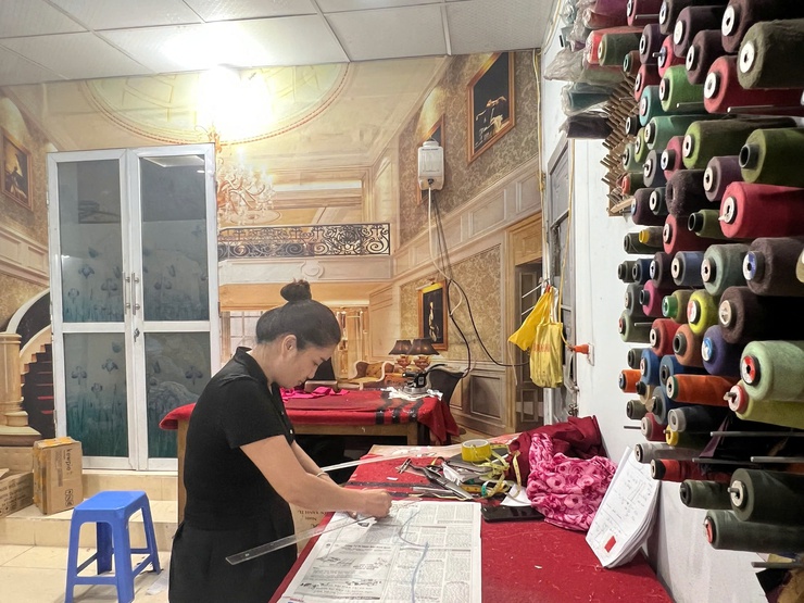 Nỗ lực vươn lên từ đồng vốn vay ưu đãi- Ảnh 1.
