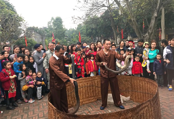 Nhiều hoạt động văn hóa, nghệ thuật chào Xuân Ất Tỵ tại quận Long Biên- Ảnh 3.