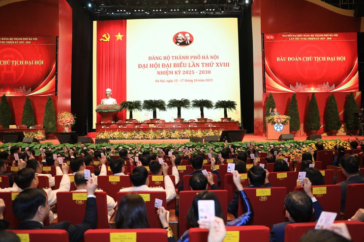 Khai mạc phiên trù bị Đại hội đại biểu Đảng bộ Thành phố lần thứ XVIII- Ảnh 3.