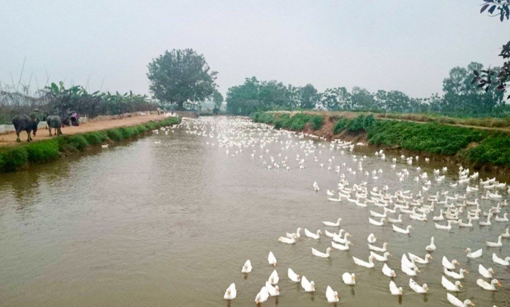 Phát huy giá trị di sản, bứt phá trên hành trình xây dựng đô thị Vân Đình- Ảnh 4.