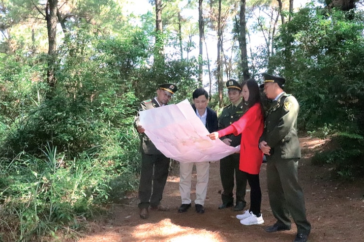 Sản xuất nông nghiệp Hà Nội ổn định, hiệu quả và thích ứng với biến đổi- Ảnh 3.