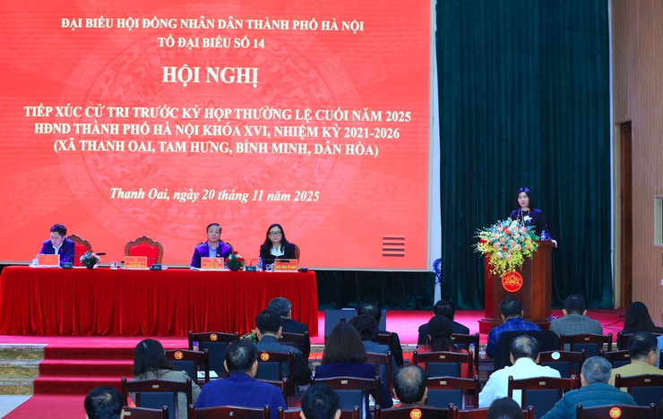 Chủ tịch HĐND Thành phố Phùng Thị Hồng Hà tiếp xúc cử tri các xã: Thanh Oai, Bình Minh, Tam Hưng, Dân Hòa- Ảnh 8.