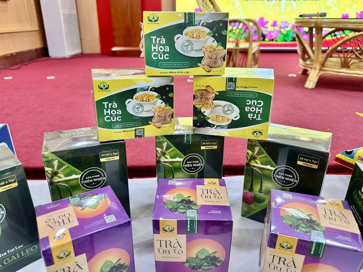 Xã Đại Thanh tập huấn bán hàng online cho trên 200 hộ kinh doanh cá thể trên địa bàn- Ảnh 4.