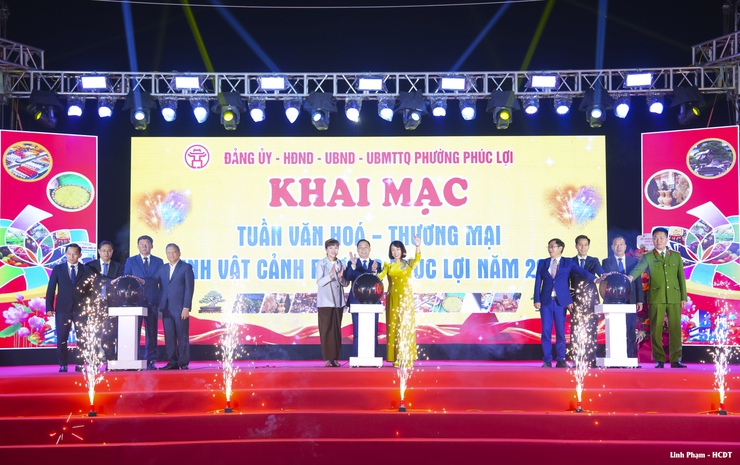 Khai mạc Tuần Văn hóa - Thương mại - Sinh vật cảnh phường Phúc Lợi năm 2025- Ảnh 1.