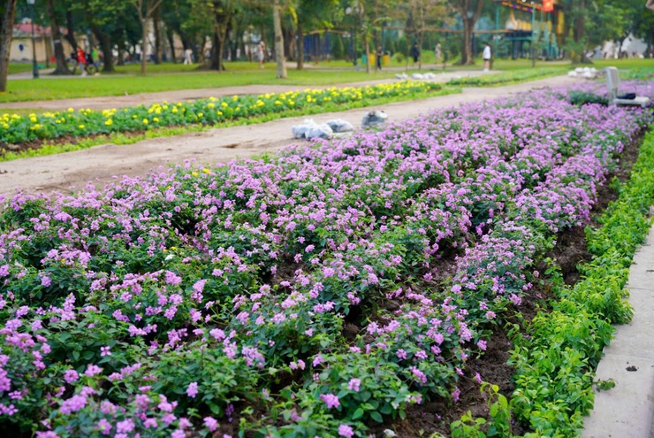 Công viên Thống Nhất - Mở không gian xanh, yên bình giữa lòng phố thị- Ảnh 3.