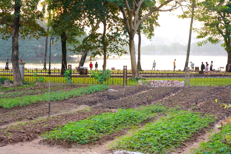 Công viên Thống Nhất - Mở không gian xanh, yên bình giữa lòng phố thị- Ảnh 4.