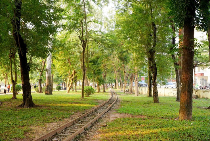 Công viên Thống Nhất - Mở không gian xanh, yên bình giữa lòng phố thị- Ảnh 1.