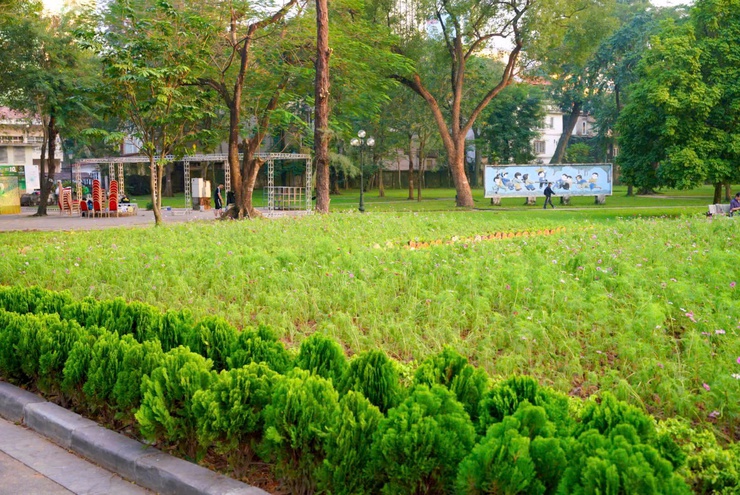 Công viên Thống Nhất - Mở không gian xanh, yên bình giữa lòng phố thị- Ảnh 12.
