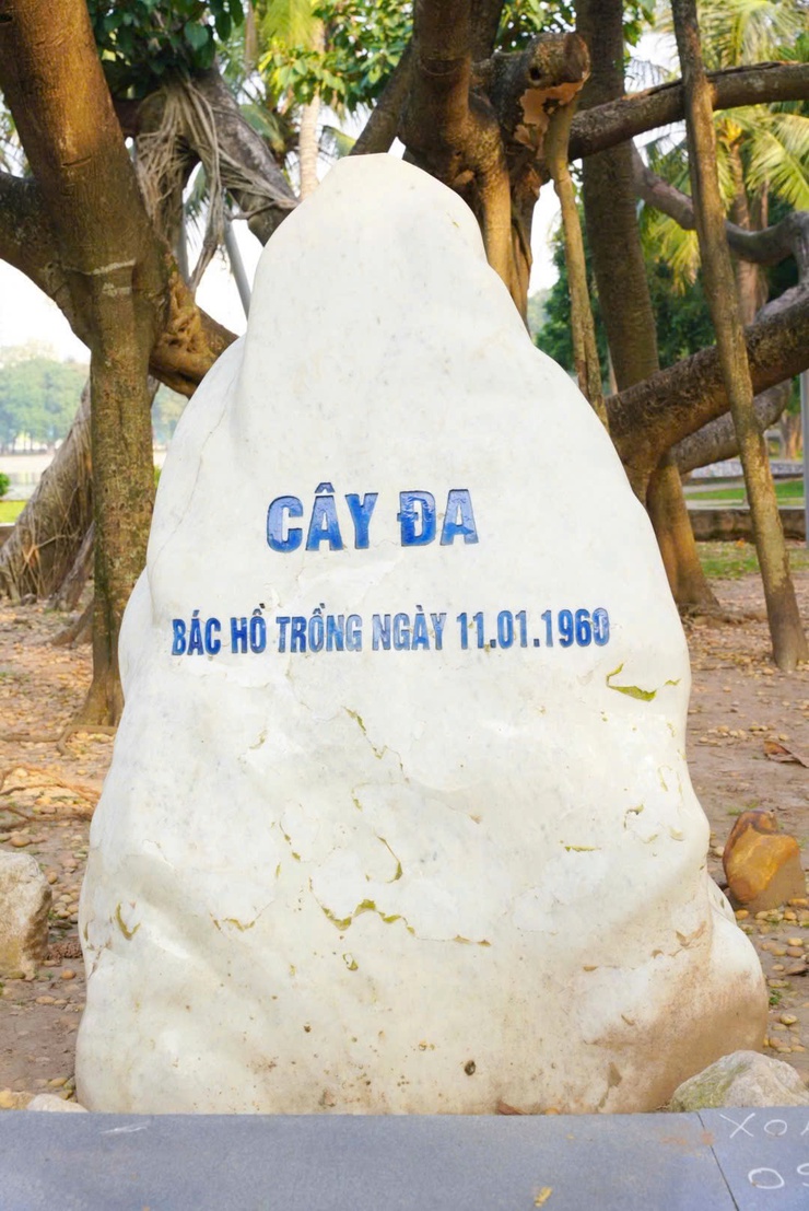 Công viên Thống Nhất - Mở không gian xanh, yên bình giữa lòng phố thị- Ảnh 14.