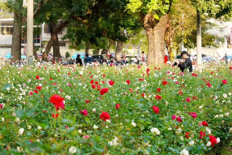 Công viên Thống Nhất - Mở không gian xanh, yên bình giữa lòng phố thị- Ảnh 8.