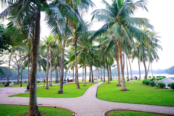 Công viên Thống Nhất - Mở không gian xanh, yên bình giữa lòng phố thị- Ảnh 17.