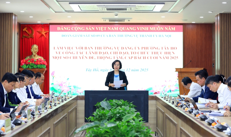 Giám sát công tác lãnh đạo, chỉ đạo, tổ chức thực hiện một số chuyên đề trọng tâm, cấp bách tại phường Tây Hồ- Ảnh 1.